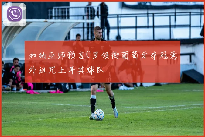 加纳巫师预言C罗领衔葡萄牙夺冠意外诅咒土耳其球队